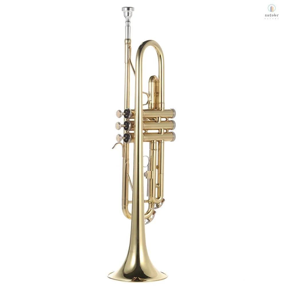 Trompete Bb de Latão Pintado a Ouro | Design Durável e Requintado 🎺